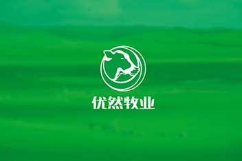 品牌策略規(guī)劃、VI設(shè)計(jì)、LOGO設(shè)計(jì)、產(chǎn)品包裝設(shè)計(jì)