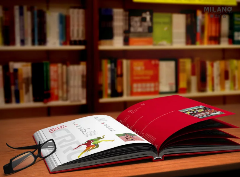 企業(yè)畫冊設(shè)計制作 企業(yè)畫冊設(shè)計制作